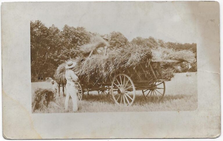 Cousin Will Sends a Photograph of Haying - circa 1910 - History In The