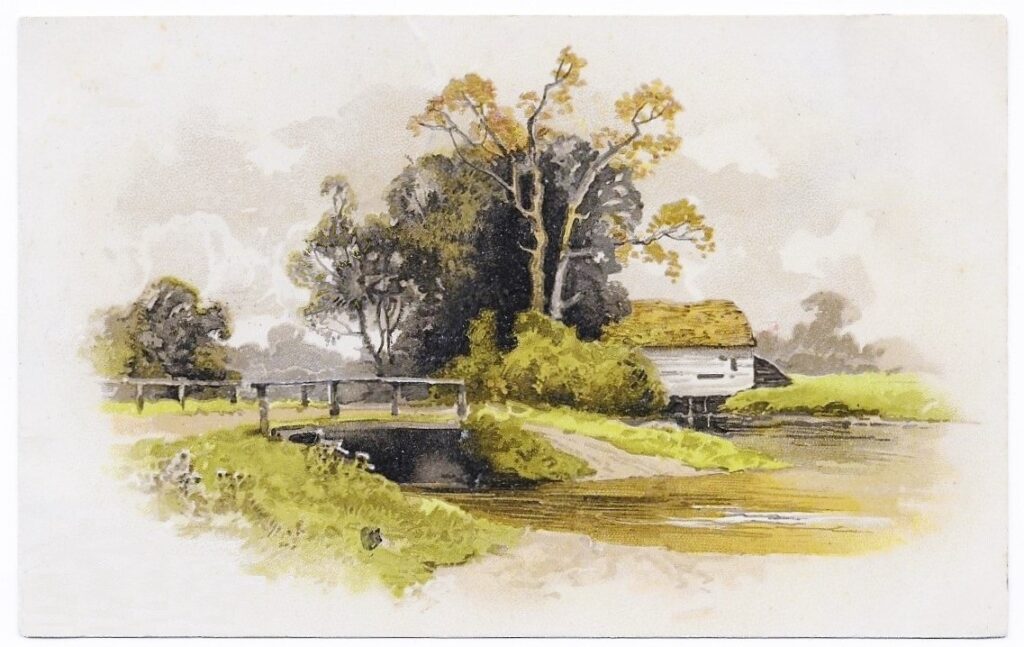 Mamie Learns to RollerSkate Utah (1908) History In The Mail